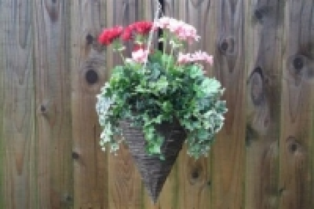 Geranium Cone Basket Assorted Colours