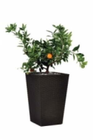 Keter Rattan Style Planter Large