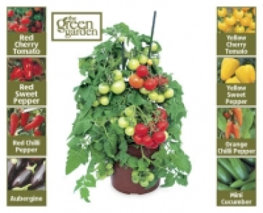 Fruit/Vegetable Plant