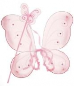 Fairytale Wings & Wand Set £3.00