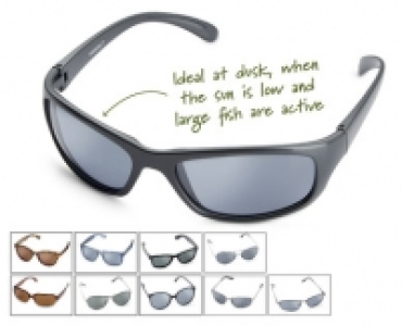 Polarised Sunglasses £3.99
