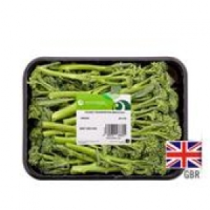 Ocado British Tenderstem Broccoli £2.73