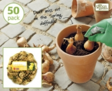 Daffodil Bulbs £2.49