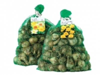 Daffodil Bulbs £5.00