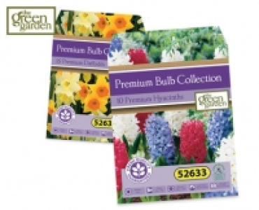 Premium Bulb Collection £3.49