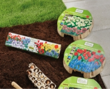 Flowering Bulbs in a Tray £3.69