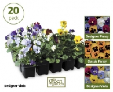 Winter Bedding Plants