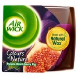 Airwick Candle Purple Blackberry Fig