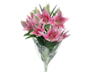 Oriental Lilies £3.30