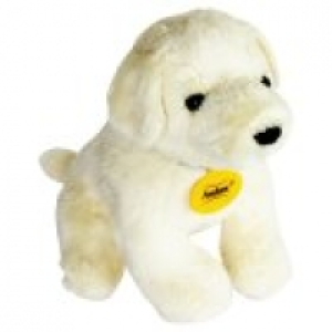 Waitrose  Andrex Puppy