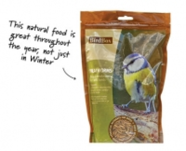 Mealworms £2.79