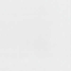 Erfurt Anaglypta Precision Vinyl Vivere 10m £7.99