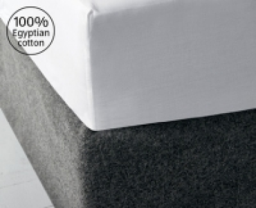 Egyptian Cotton King Fitted Sheet
