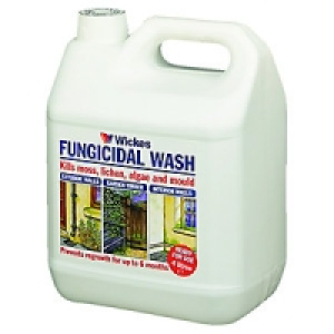 Wickes All Purpose Fungicidal Wash 4 Litre