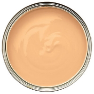 Wickes Colour @ Home Vinyl Matt Emulsion Paint- Copper Twist
