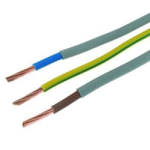Wickes Meter Tails & Earth Cable 16mm x 1m £10.99