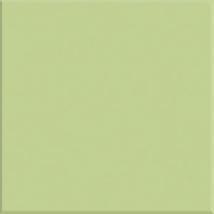 Wickes Cosmopolitan Gloss Pistachio Ceramic Wall Tile 100x10