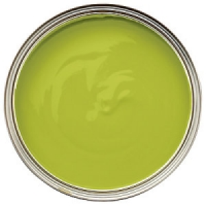 Wickes Colour @ Home Vinyl Matt Emulsion Paint Sherwood Fore £15.99