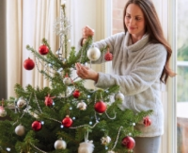 Fresh Cut Christmas Tree