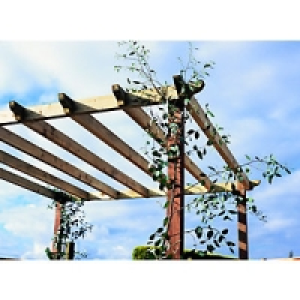Wickes Deck Bearer 80x80mmx3m £15.99