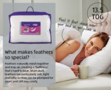 Duck Feather Double Duvet £21.99