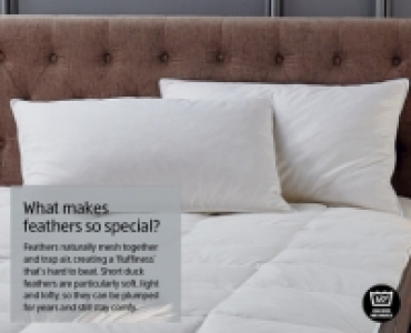 Duck Feather Pillow Pair &pound;9.99