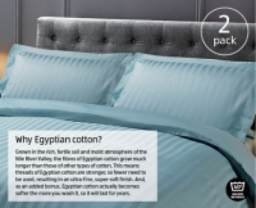 Egyptian Cotton Pillowcase Pair £3.49