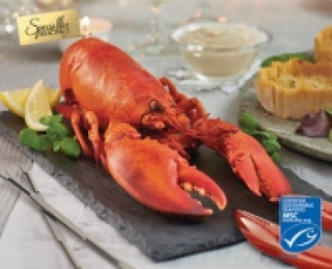 Specially Selected Cooked Canadian Lobster