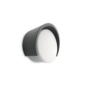Philips 20W Parasola Wall Lantern Antracite &pound;39.99