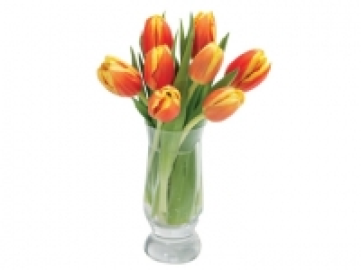 Tulips £2.00