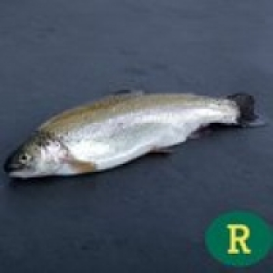 Morrisons Whole Yorkshire Trout Gutted Head O