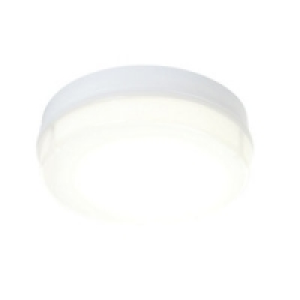 Neptune Flush Light £49.99