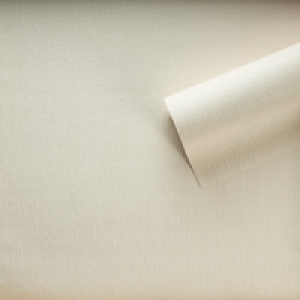 Superfresco Colour Rivoli Decorative Wallpaper Cream 10m £15.49
