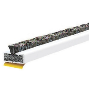 4FireDoors Intumescent Fire & Smoke Seal White 10 x 4mm Sing