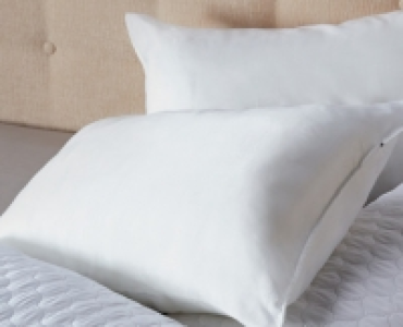 Mega Bounce Pillow Pair £3.99