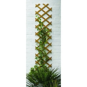 Wickes Expanding Trellis 1830mmx300mm Autumn Gold £5.19