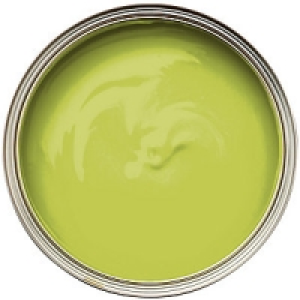 Dulux Feature Wall Matt Emulsion Paint Luscious Lime 1.25L