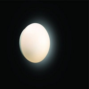 Wickes Marlin Flush Bathroom Wall Light
