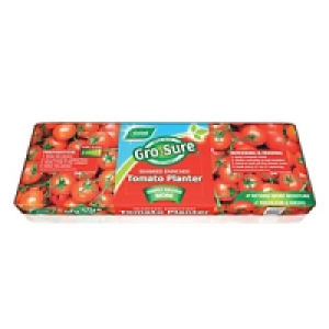 Westland Gro-Sure Tomato Planter Compost 38L