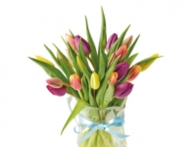 Rainbow Tulips £5.00