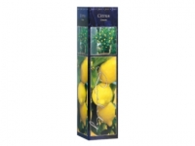 Mediterranean Plants £2.29