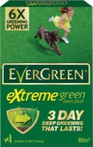 Evergreen Extreme Green Carton £4.99