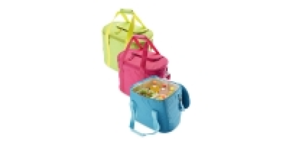 Picnic Cooler Bag