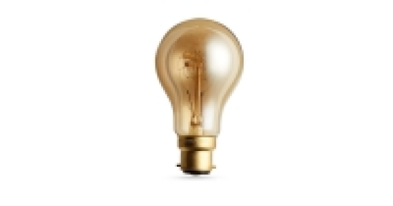 60W PS60 Antique-Style Light Bulb