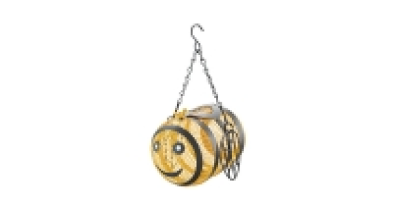 Kids Novelty Bee Bird Feeder