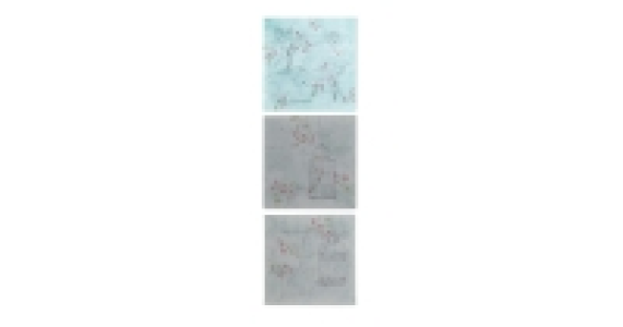 3 Pack Blossom & Bird Canvases
