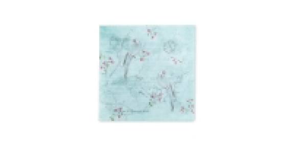 Blossom and Bird Canvas