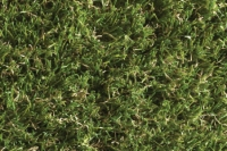 Namgrass Artificial Grass Meadow 2m x 1m