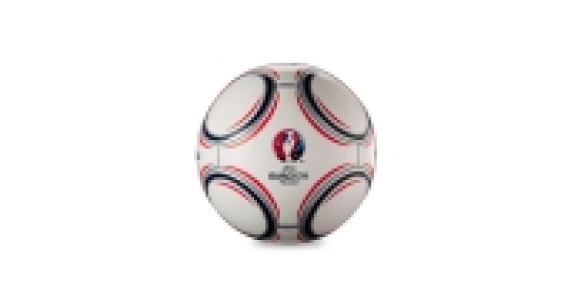 Official EURO 2016 Football