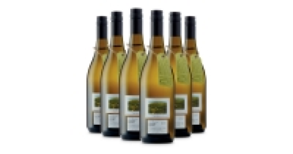 Lot 07 Bushvine Chenin